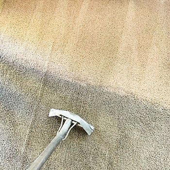 the best carpet cleaning service is localcarpetcleaning.ie