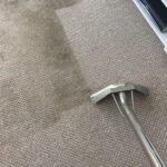 The best Commercial Carpet Cleaning in cheap