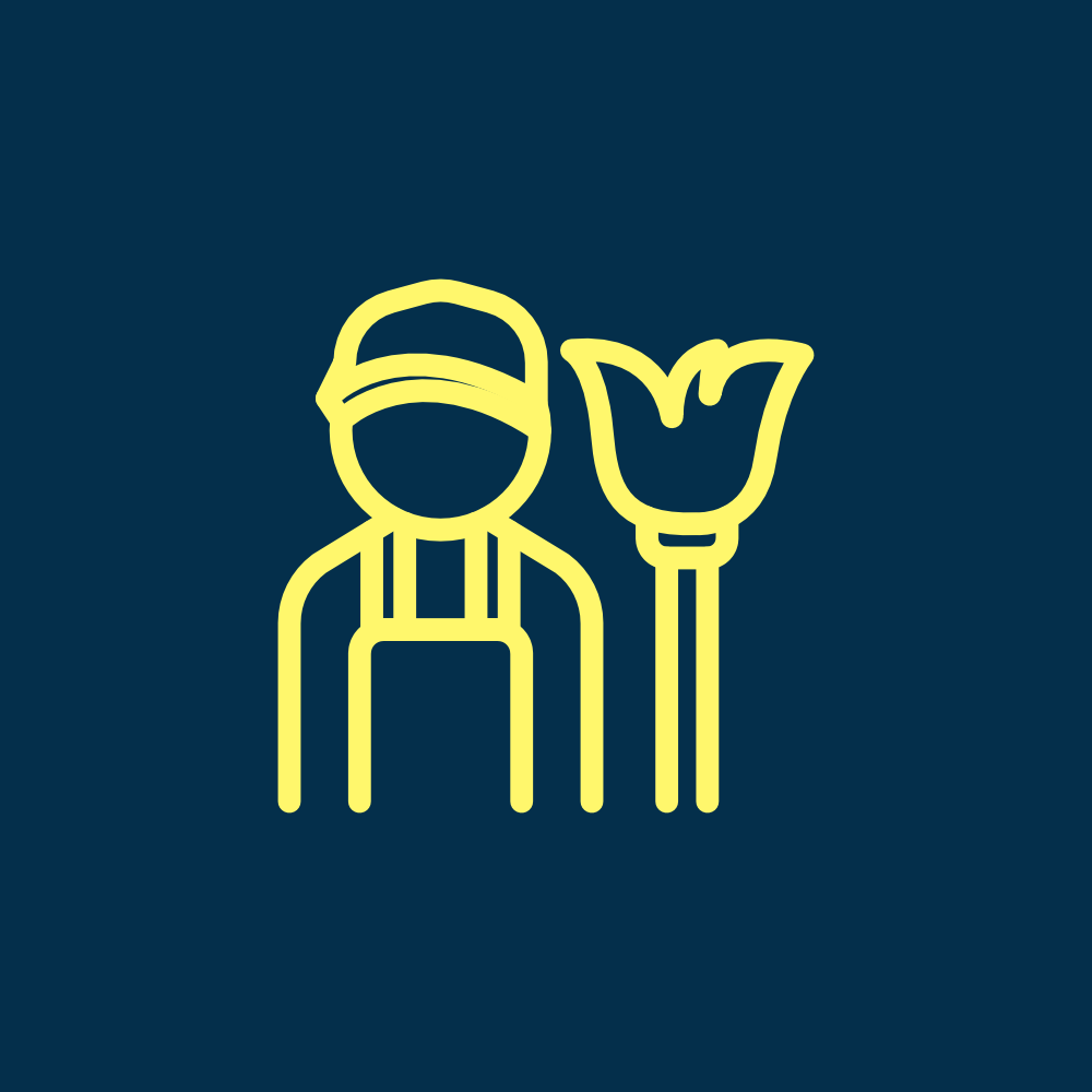 carpet rug mattress sofa cleaning near me