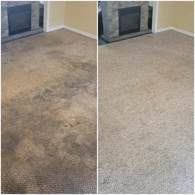 Preventing Mould and Mildew in Irish Carpets: The Science of the “4-Scale” Drying Window
