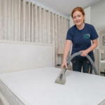 The best Commercial Carpet Cleaning in cheap