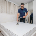 The best Commercial Carpet Cleaning in cheap