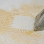 The best Commercial Carpet Cleaning in cheap