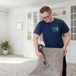 The best Commercial Carpet Cleaning in cheap